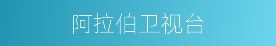 阿拉伯卫视台的同义词