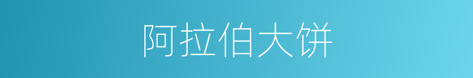 阿拉伯大饼的同义词