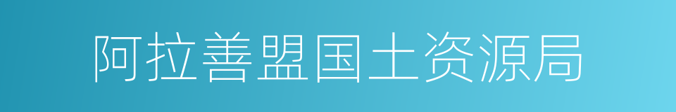 阿拉善盟国土资源局的同义词