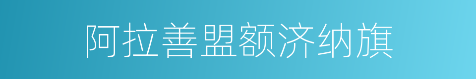 阿拉善盟额济纳旗的同义词