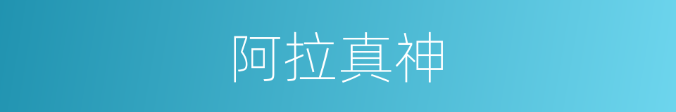 阿拉真神的同义词
