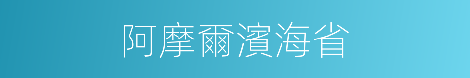 阿摩爾濱海省的同義詞