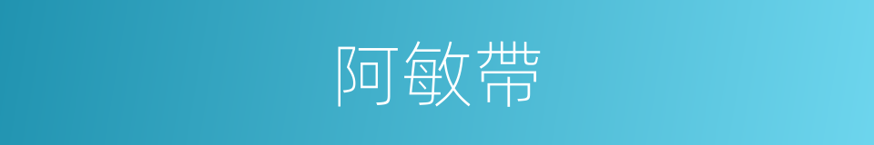 阿敏帶的同義詞