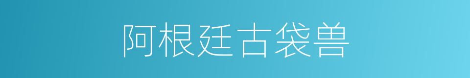 阿根廷古袋兽的同义词
