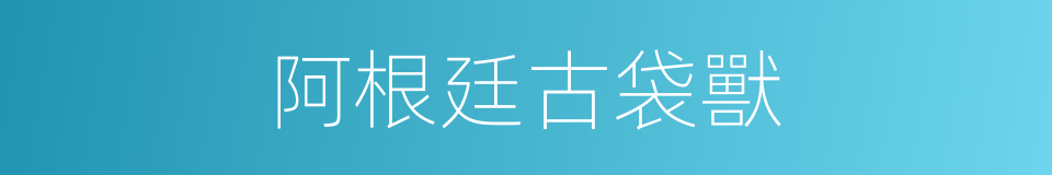 阿根廷古袋獸的同義詞