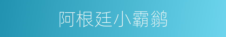 阿根廷小霸鹟的同义词