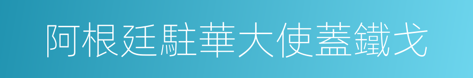 阿根廷駐華大使蓋鐵戈的同義詞