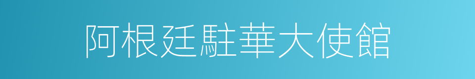 阿根廷駐華大使館的同義詞