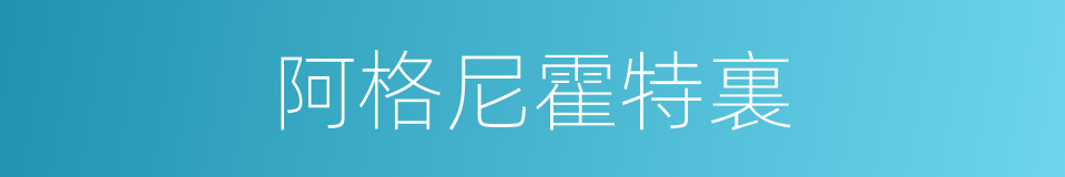 阿格尼霍特裏的同義詞