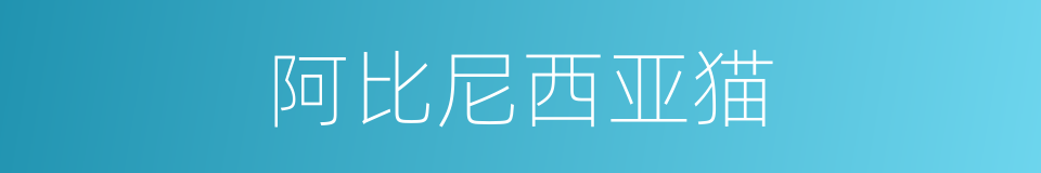 阿比尼西亚猫的同义词