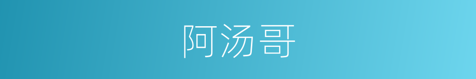 阿汤哥的同义词