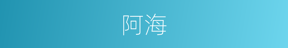阿海的意思