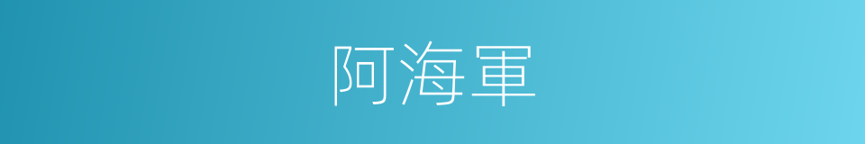 阿海軍的意思