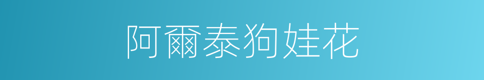 阿爾泰狗娃花的同義詞