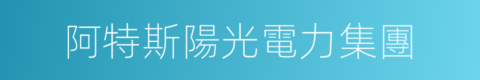 阿特斯陽光電力集團的同義詞
