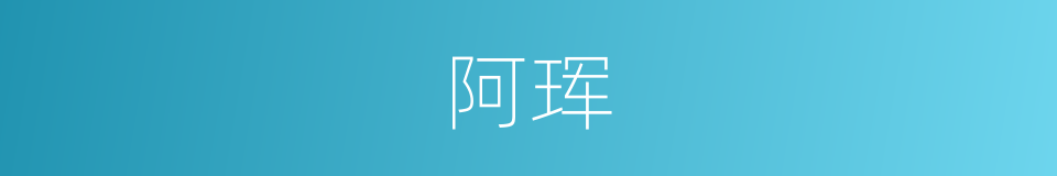 阿珲的意思