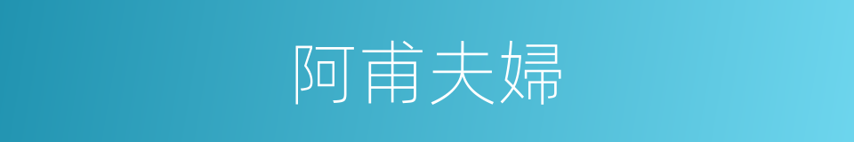 阿甫夫婦的同義詞