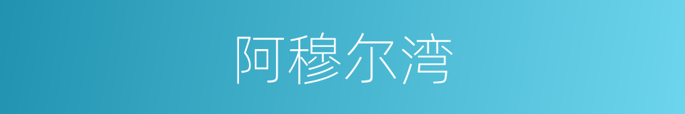 阿穆尔湾的同义词