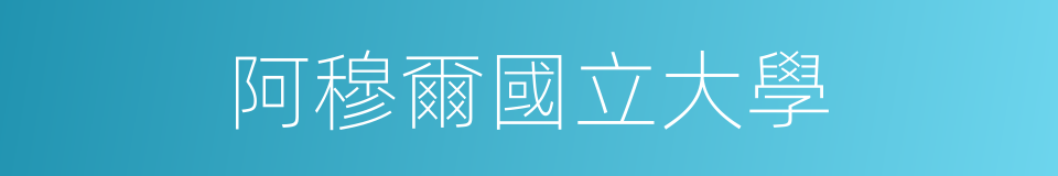 阿穆爾國立大學的同義詞