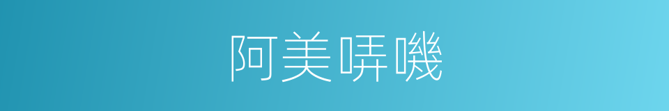 阿美哢嘰的同義詞