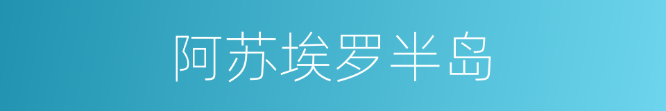 阿苏埃罗半岛的同义词