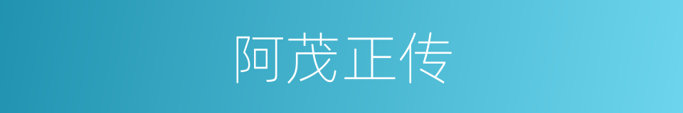 阿茂正传的同义词