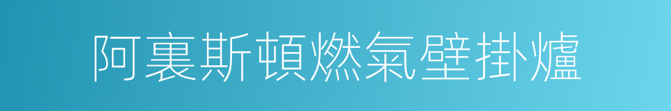 阿裏斯頓燃氣壁掛爐的同義詞