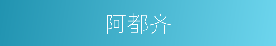 阿都齐的同义词