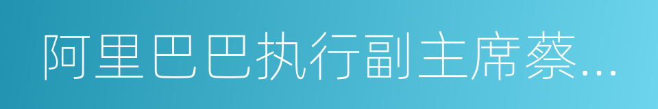 阿里巴巴执行副主席蔡崇信的同义词