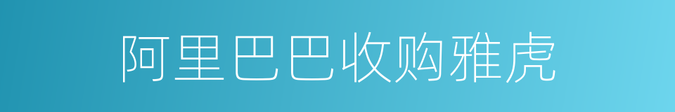 阿里巴巴收购雅虎的同义词