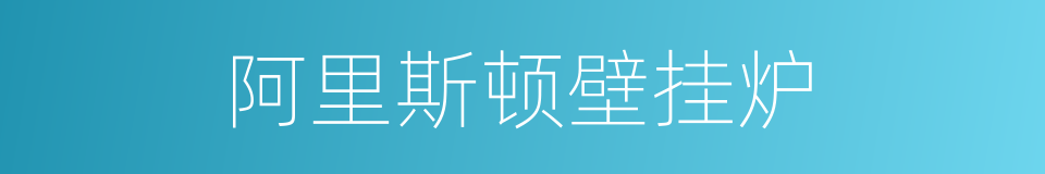 阿里斯顿壁挂炉的同义词