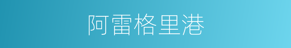 阿雷格里港的同义词