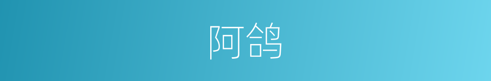 阿鸽的同义词