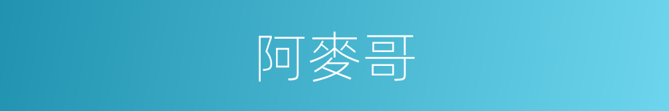 阿麥哥的同義詞