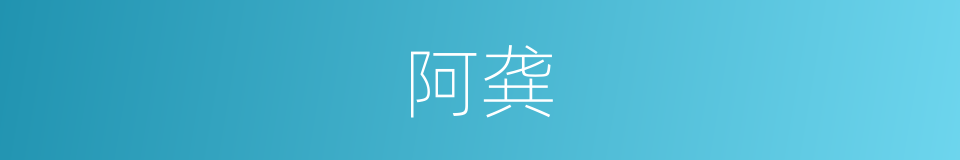 阿龚的意思
