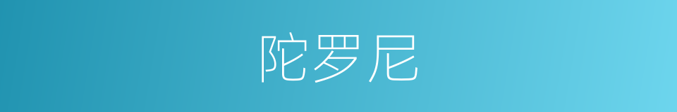 陀罗尼的意思