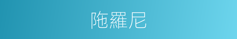 陁羅尼的意思