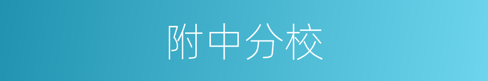 附中分校的同义词