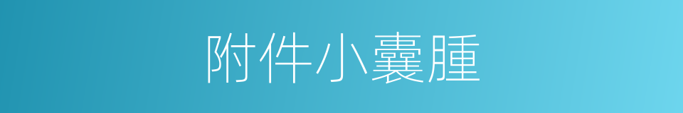 附件小囊腫的同義詞