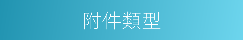 附件類型的同義詞
