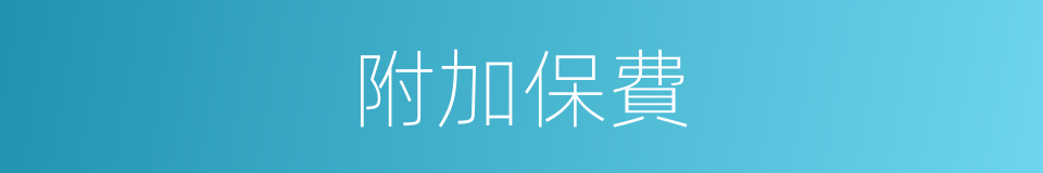 附加保費的同義詞