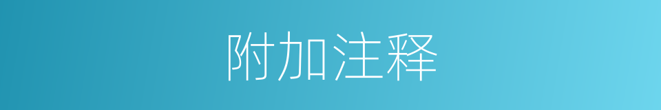 附加注释的意思