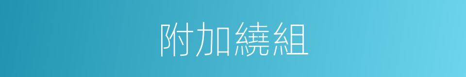 附加繞組的同義詞