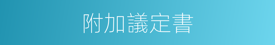 附加議定書的同義詞