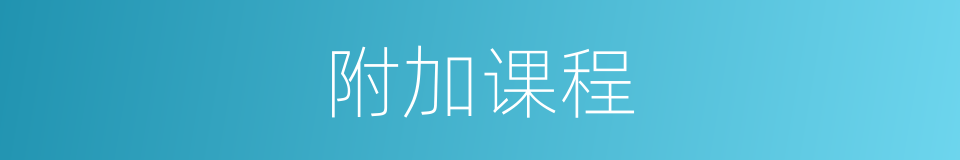 附加课程的同义词