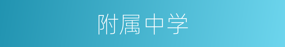 附属中学的同义词