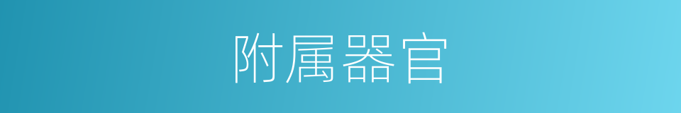 附属器官的同义词