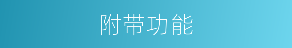 附带功能的同义词