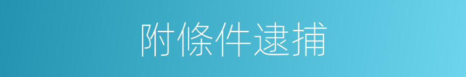 附條件逮捕的同義詞