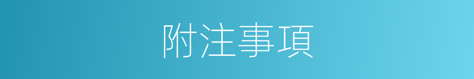 附注事項的同義詞